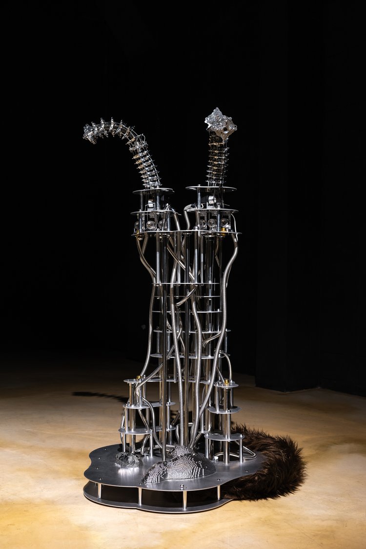 Interactive installation full view